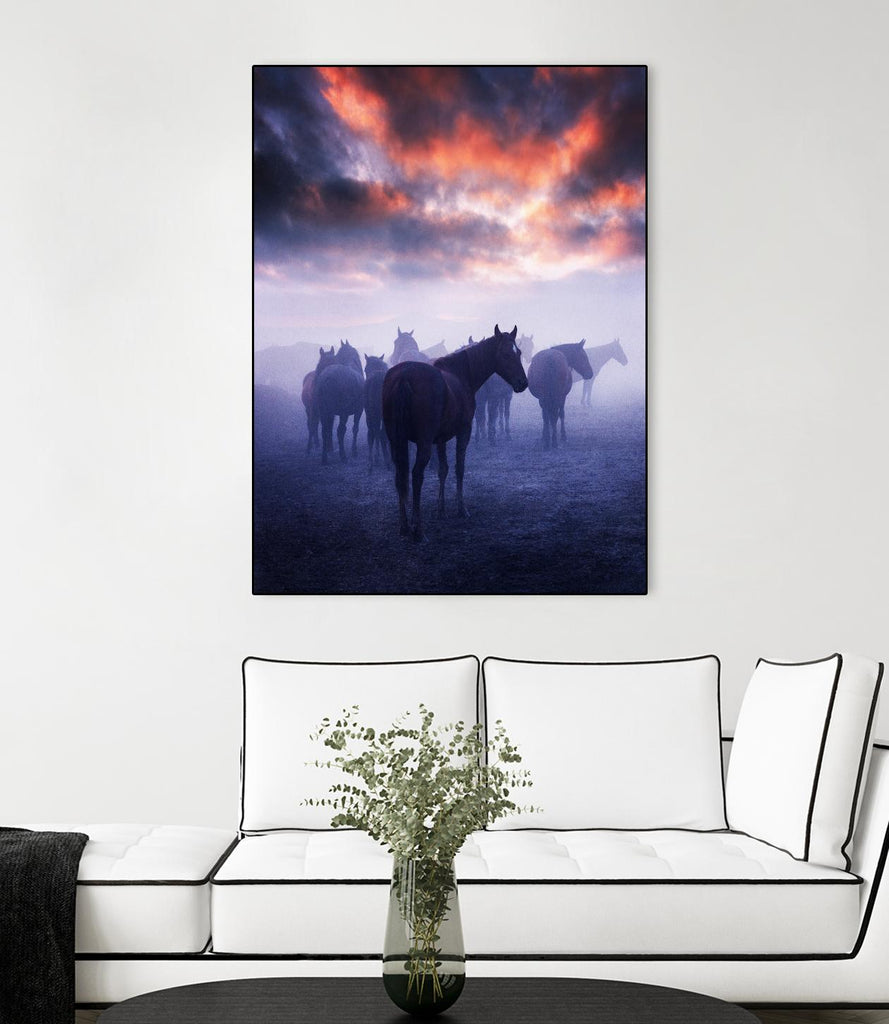 Cevik - Wild Horses par 1X sur GIANT ART - animaux roses