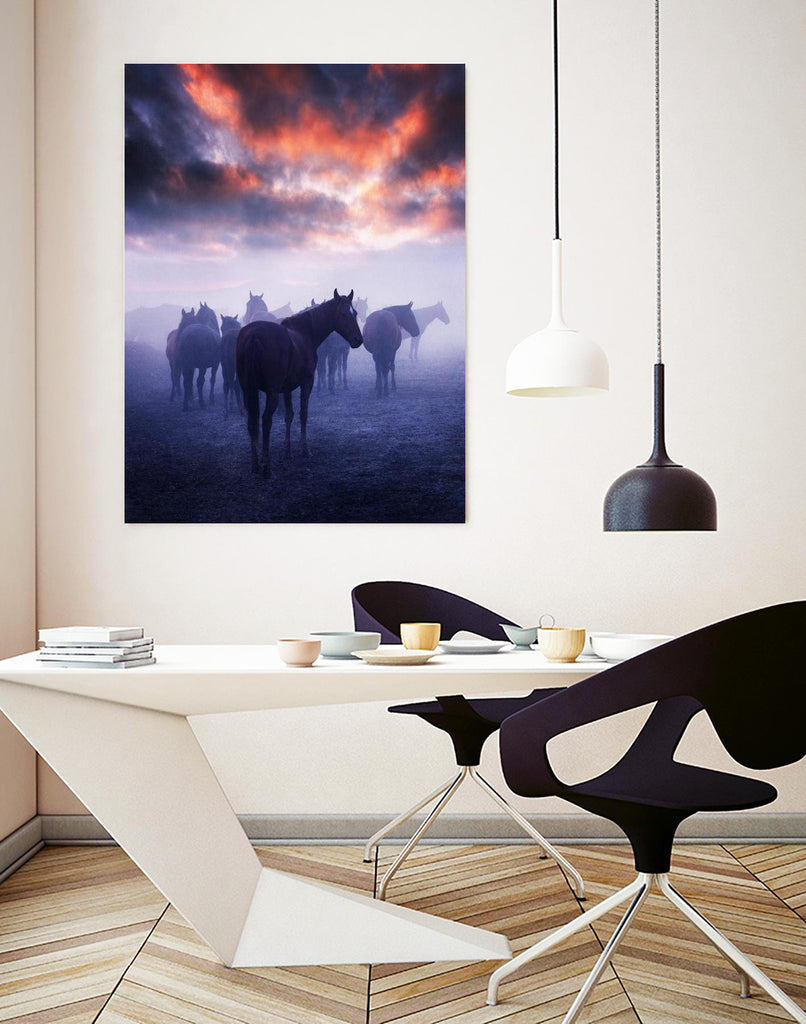 Cevik - Wild Horses by 1X on GIANT ART - pink animals