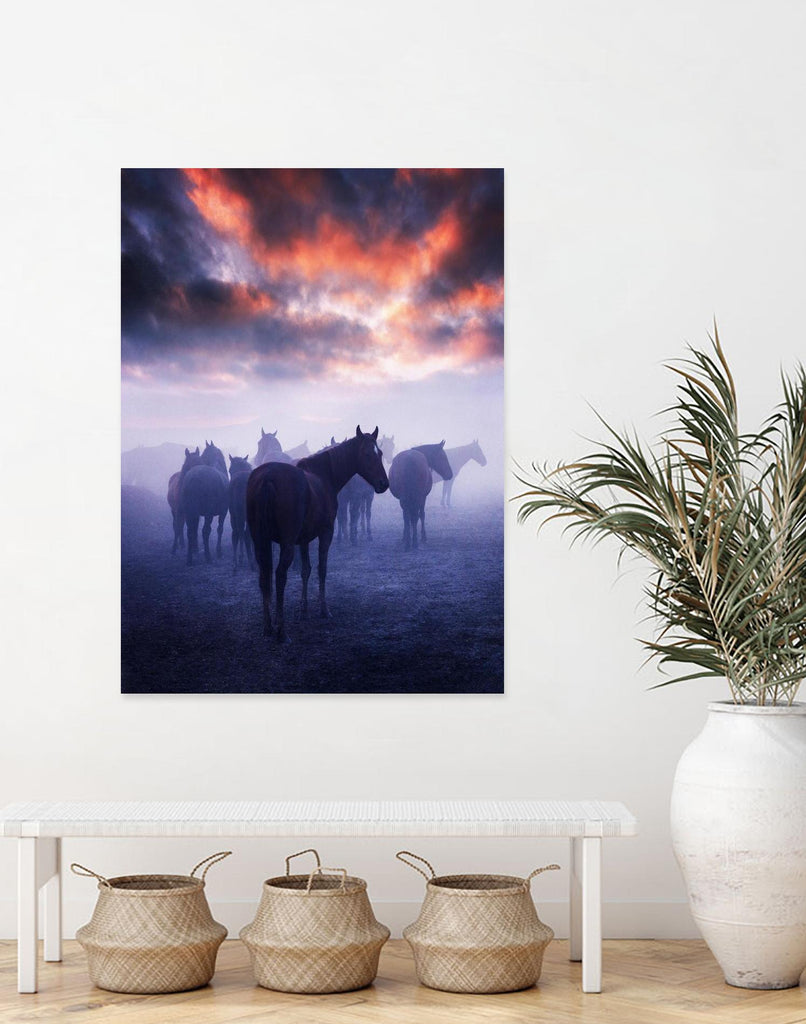 Cevik - Wild Horses by 1X on GIANT ART - pink animals