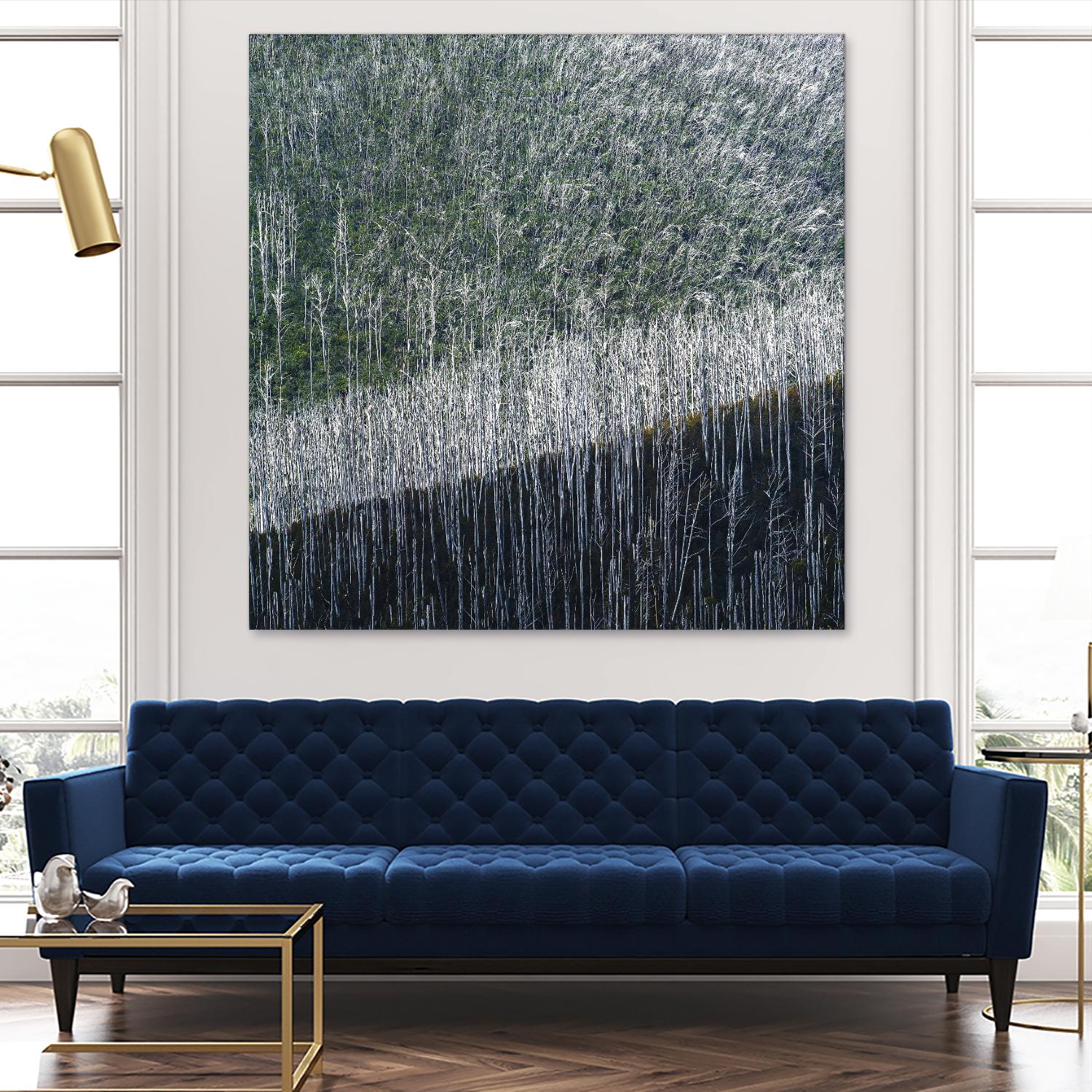 Coming back to life by 1X 1X on GIANT ART - black trees