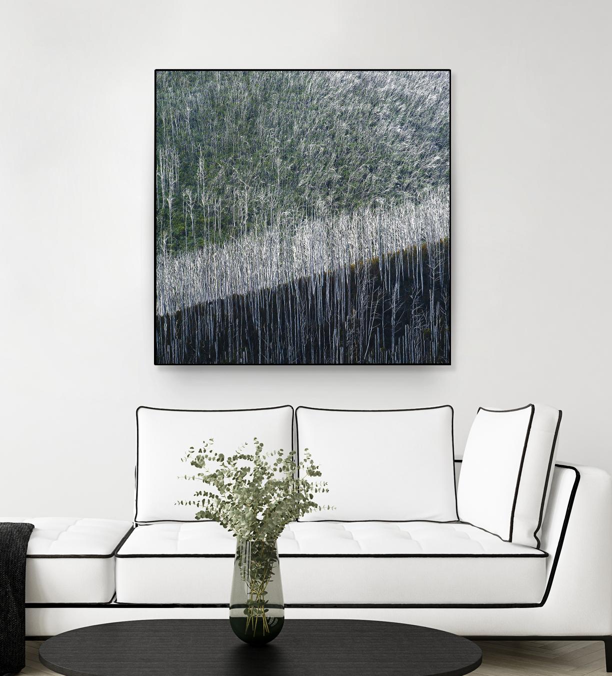 Coming back to life by 1X 1X on GIANT ART - black trees