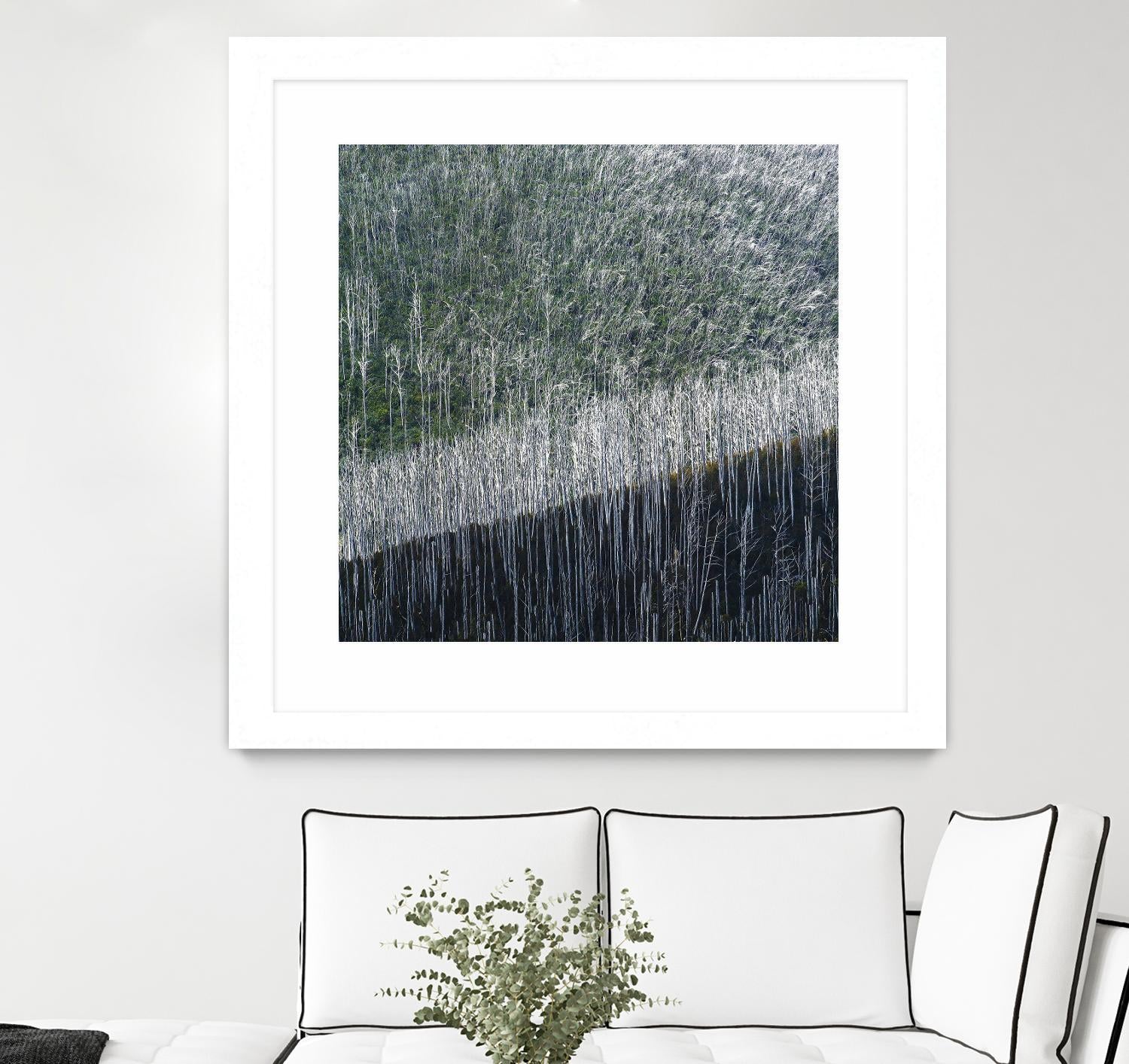 Coming back to life by 1X 1X on GIANT ART - black trees