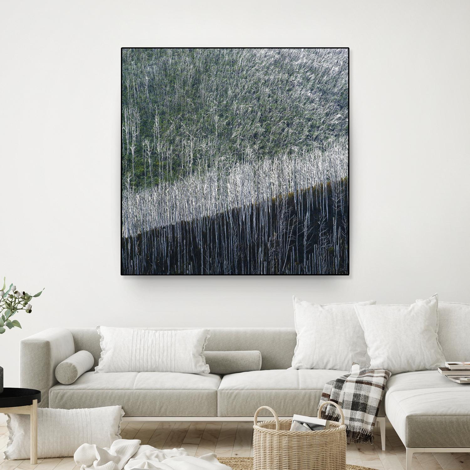 Coming back to life by 1X 1X on GIANT ART - black trees