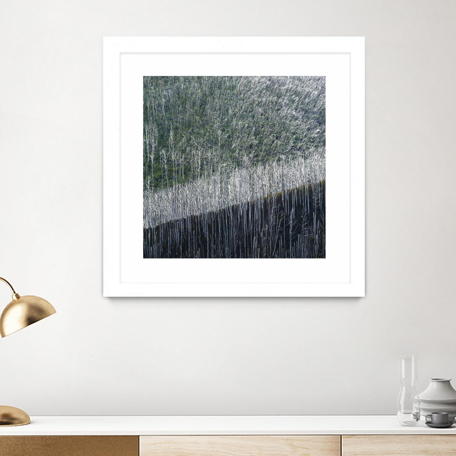 Coming back to life by 1X 1X on GIANT ART - black trees