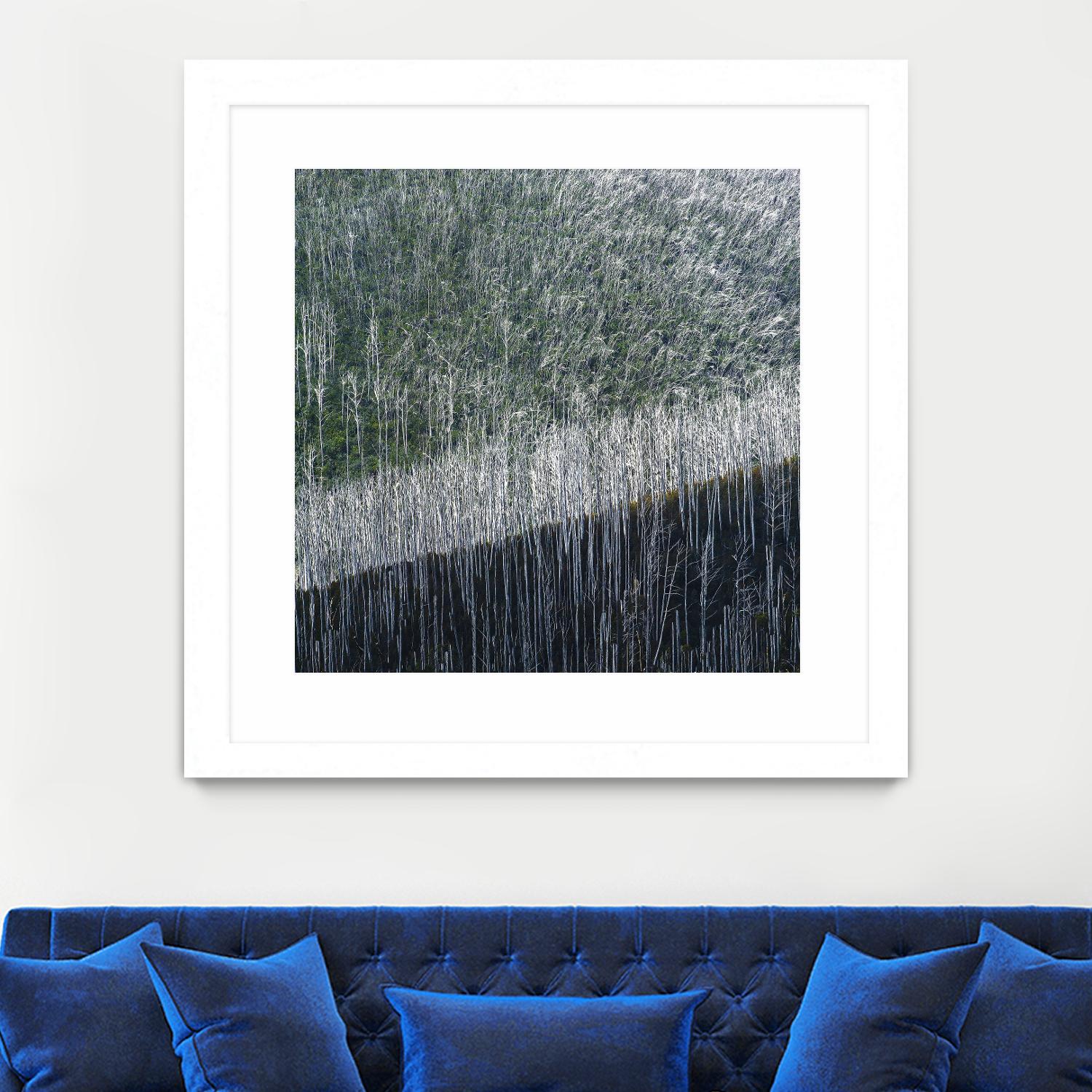 Coming back to life by 1X 1X on GIANT ART - black trees