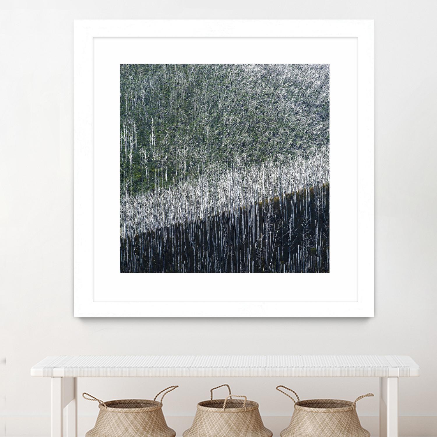 Coming back to life by 1X 1X on GIANT ART - black trees