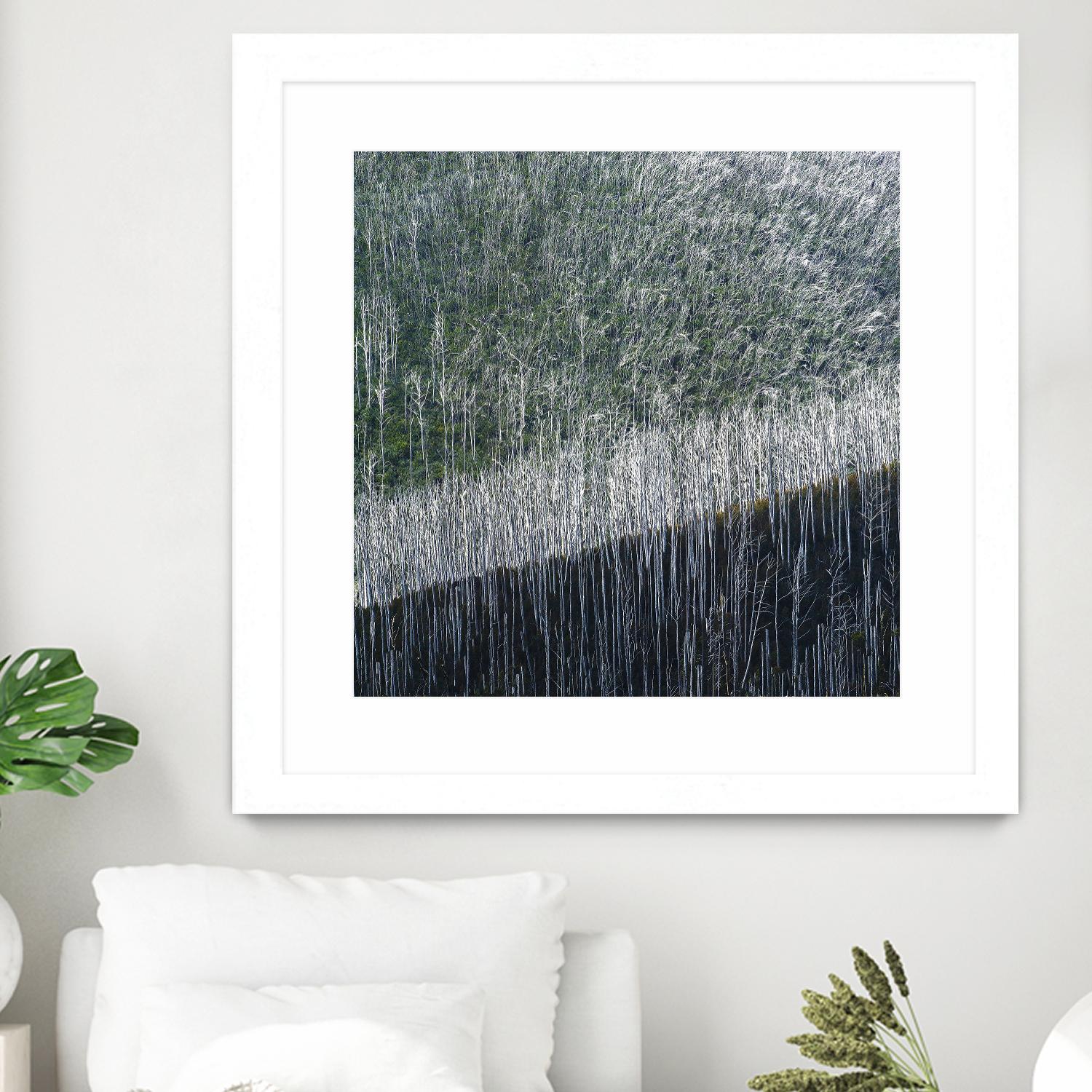 Coming back to life by 1X 1X on GIANT ART - black trees