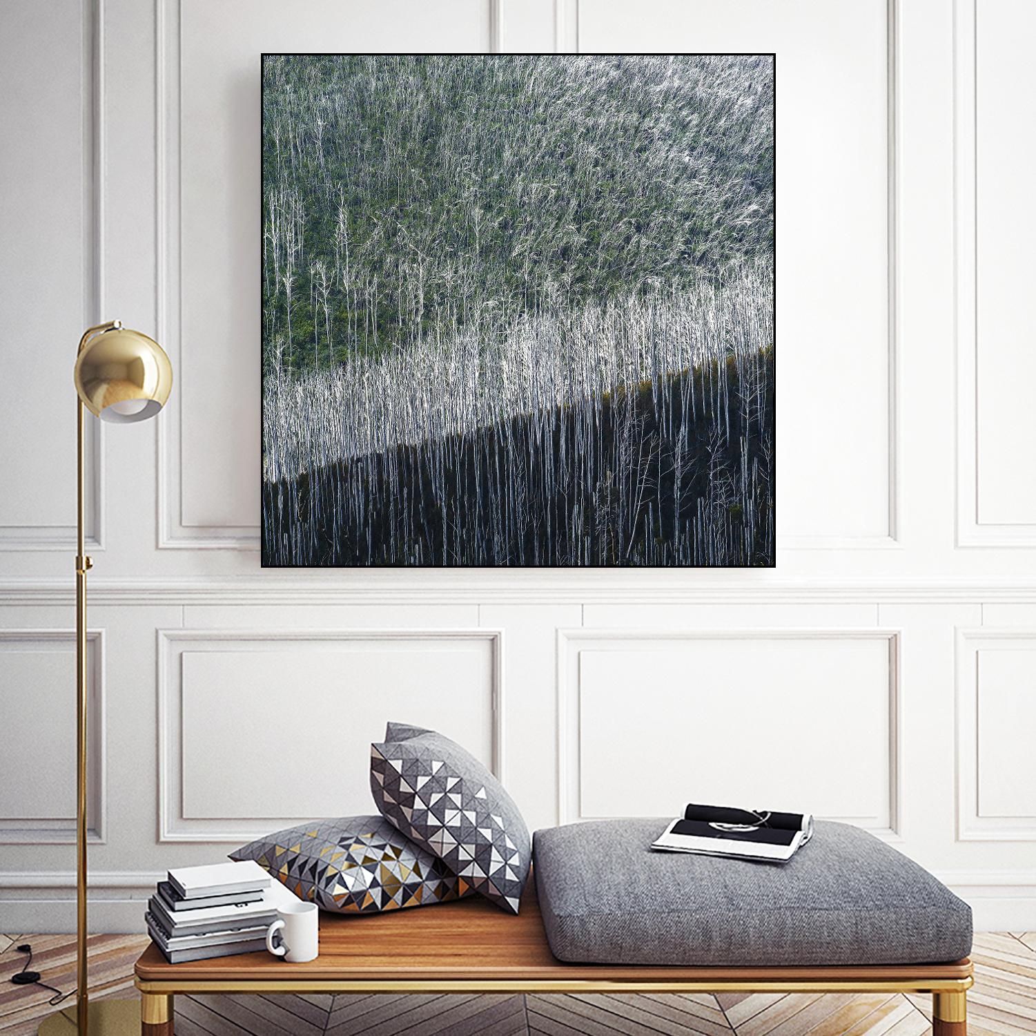 Coming back to life by 1X 1X on GIANT ART - black trees