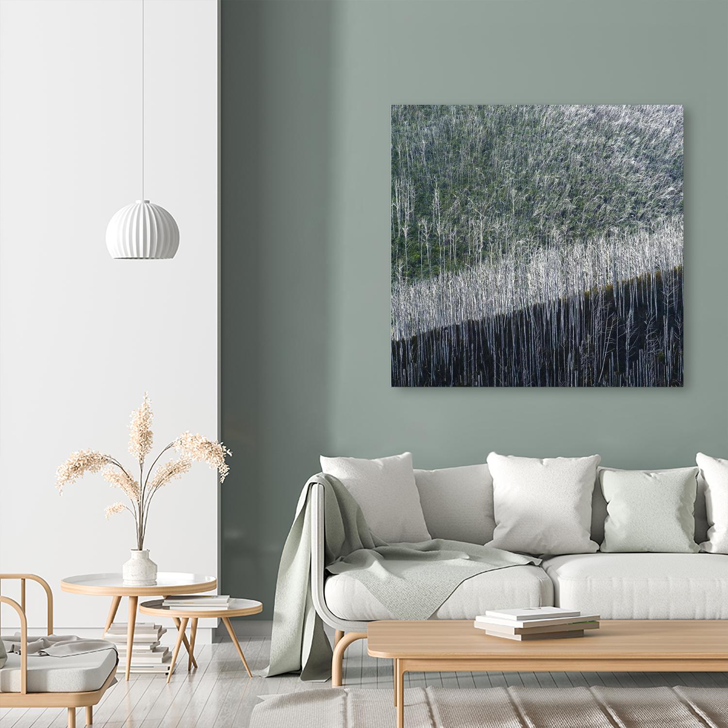 Coming back to life by 1X 1X on GIANT ART - black trees