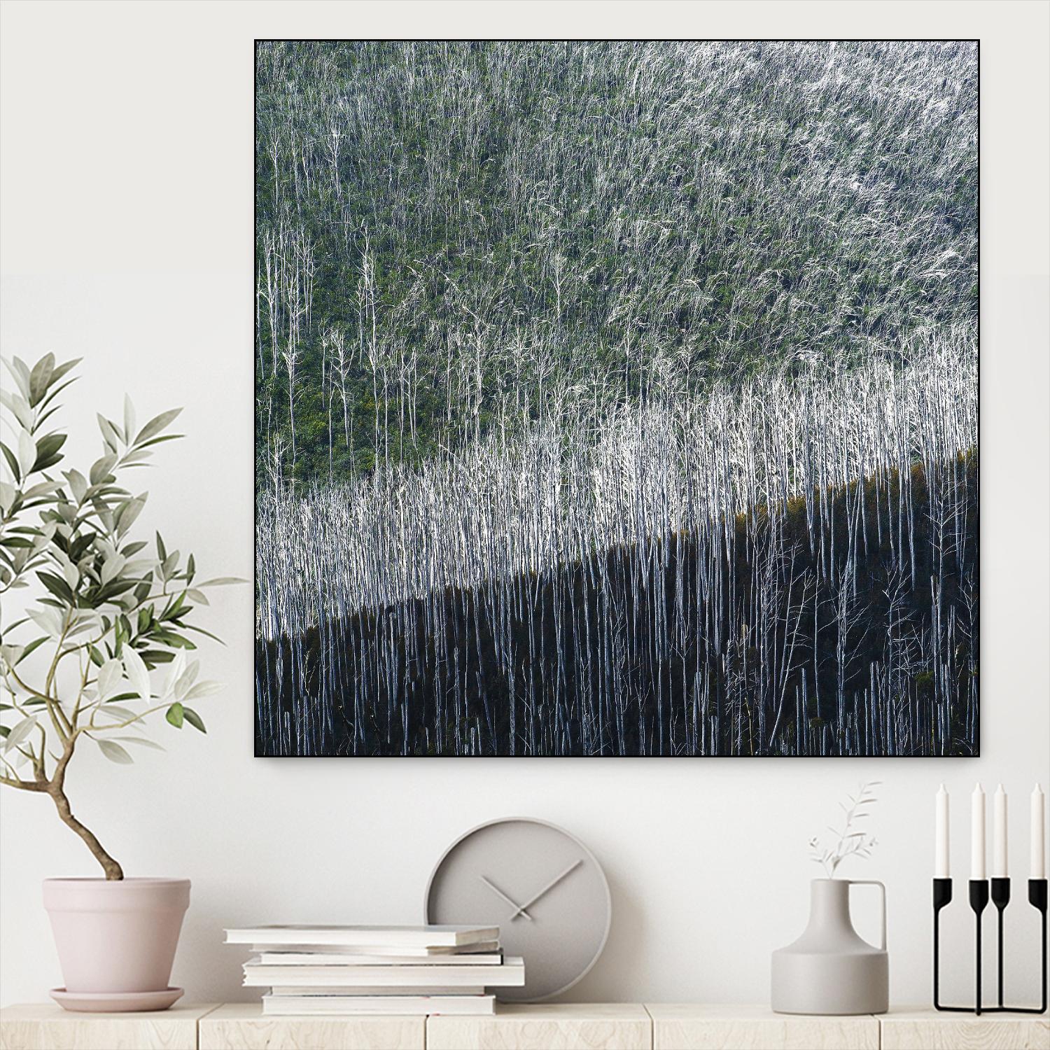 Coming back to life by 1X 1X on GIANT ART - black trees