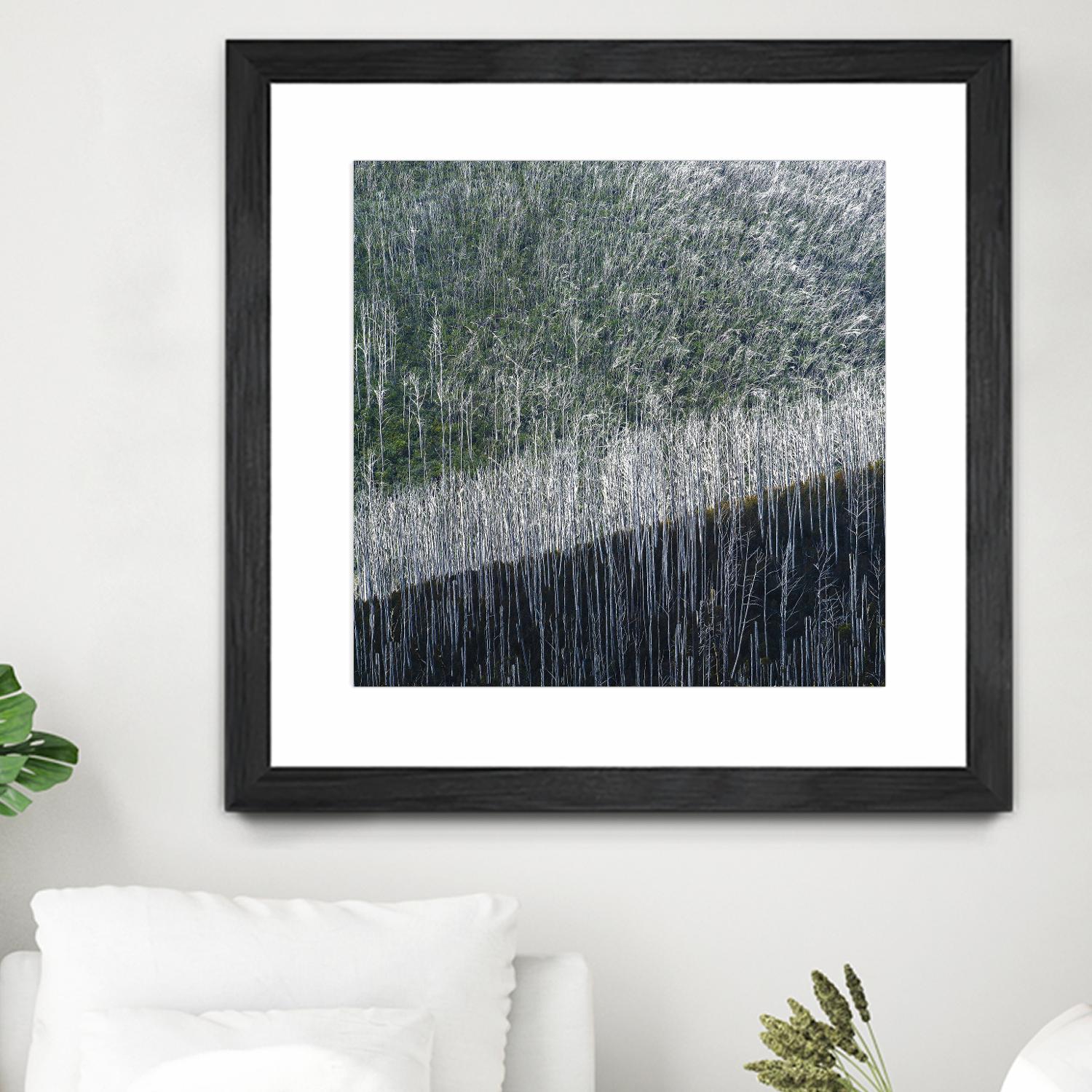 Coming back to life by 1X 1X on GIANT ART - black trees