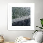 Coming back to life by 1X 1X on GIANT ART - black trees