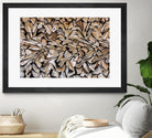 Pearson - Against The Grain by 1X on GIANT ART - beige photography wood