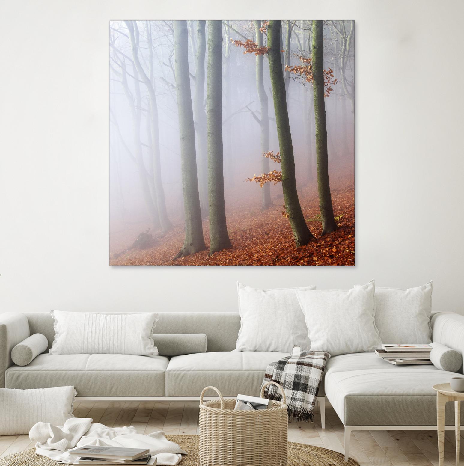 Fog by Popovsky 1X on GIANT ART - orange landscape