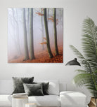 Fog by Popovsky 1X on GIANT ART - orange landscape