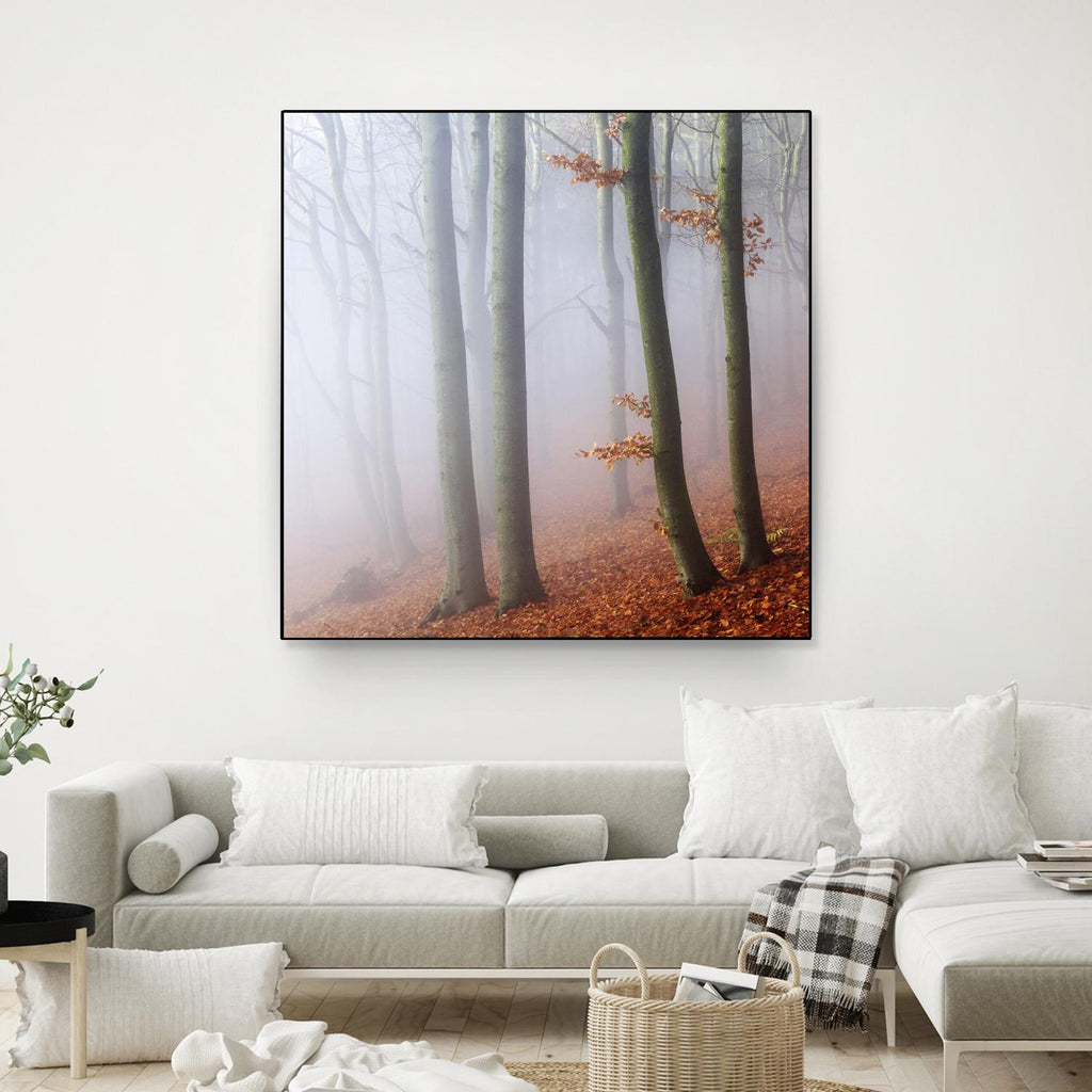 Fog by Popovsky 1X on GIANT ART - orange landscape