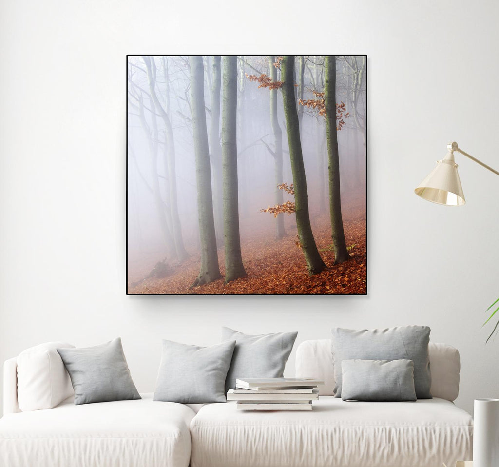 Fog by Popovsky 1X on GIANT ART - orange landscape