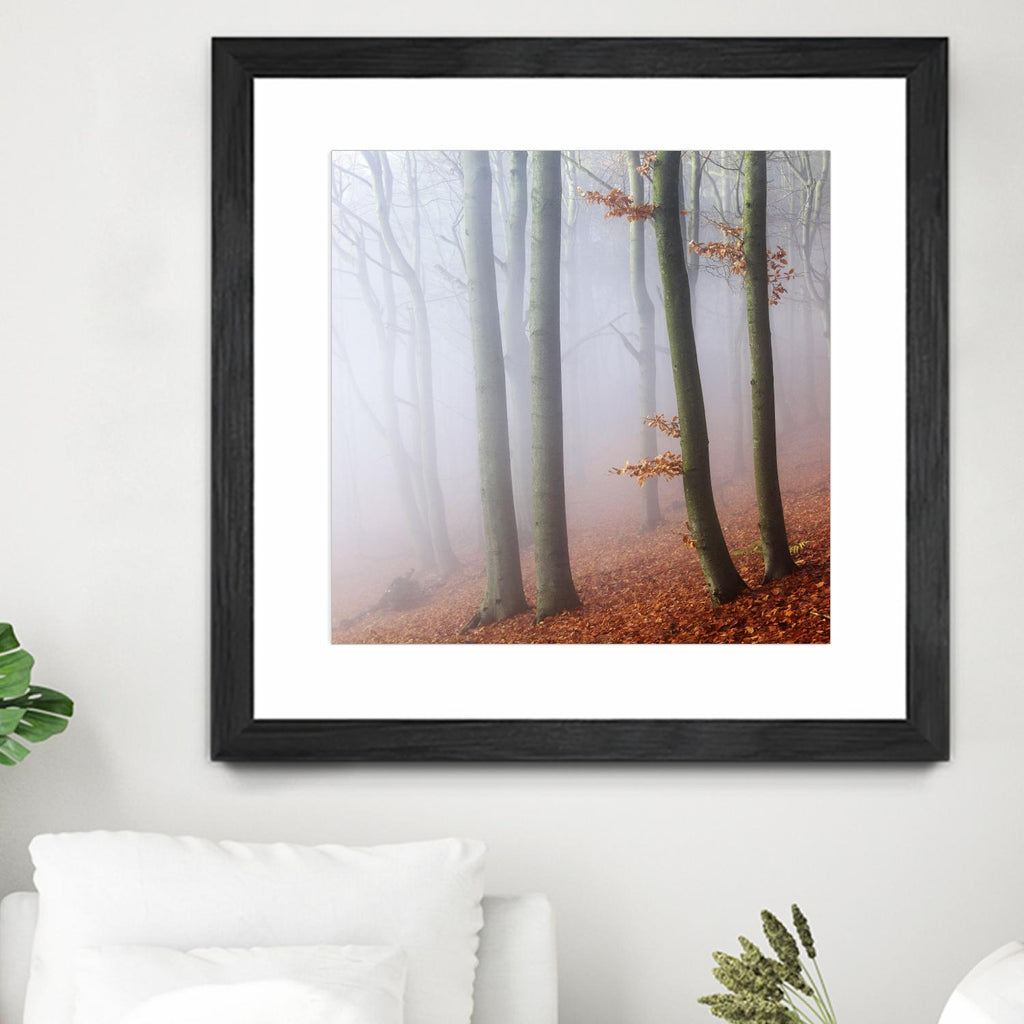 Fog by Popovsky 1X sur GIANT ART - paysage orange