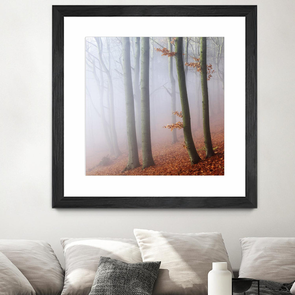 Fog by Popovsky 1X sur GIANT ART - paysage orange
