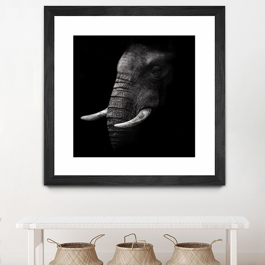Portrait by WildPhotoArt on GIANT ART - white animal hear of elephant