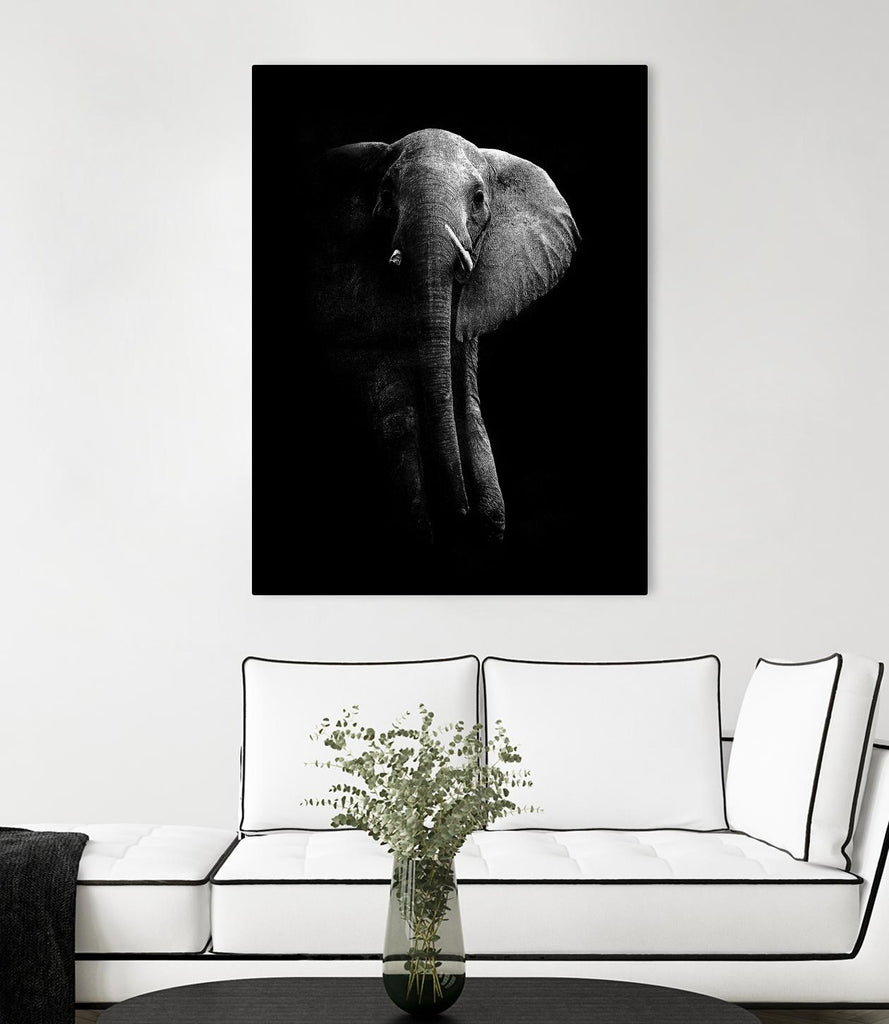 Elephant! by WildPhotoArt on GIANT ART - white black&white nature 