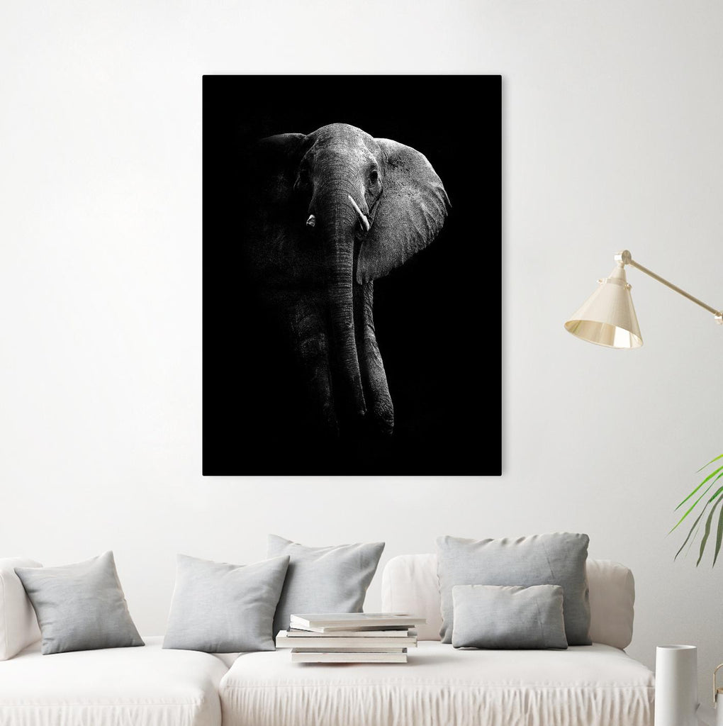 Elephant! by WildPhotoArt on GIANT ART - white black&white nature 