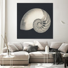 Shell I by YK Studio on GIANT ART - beige nautical