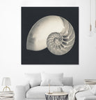 Shell I by YK Studio on GIANT ART - beige nautical