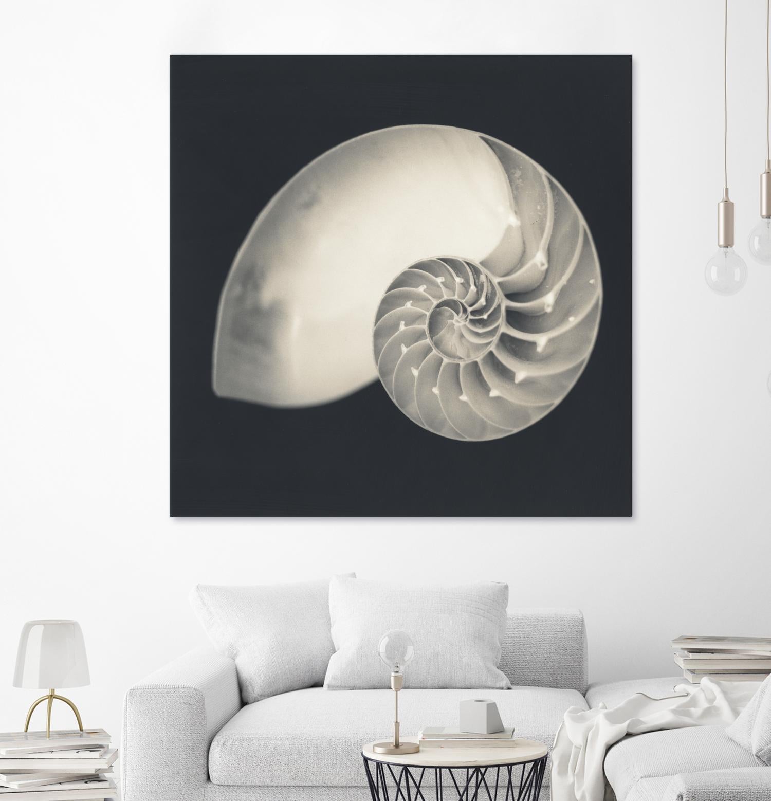 Shell I by YK Studio on GIANT ART - beige nautical