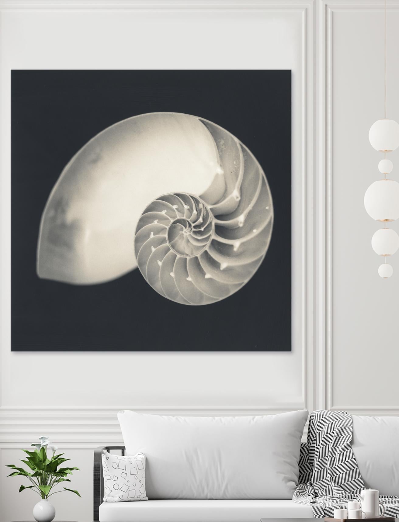Shell I by YK Studio on GIANT ART - beige nautical