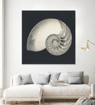 Shell I by YK Studio on GIANT ART - beige nautical