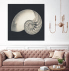 Shell I by YK Studio on GIANT ART - beige nautical