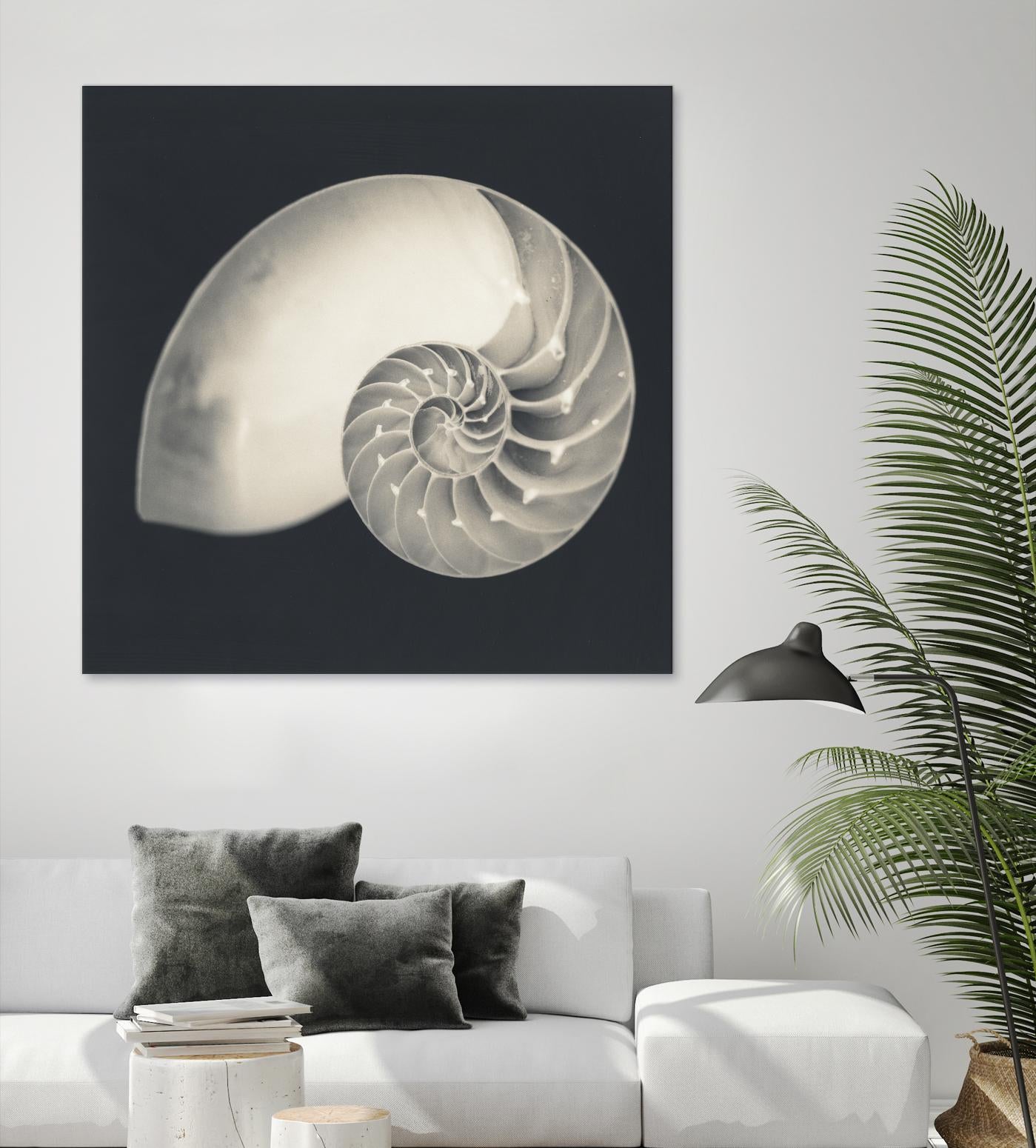 Shell I by YK Studio on GIANT ART - beige nautical