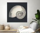 Shell I by YK Studio on GIANT ART - beige nautical