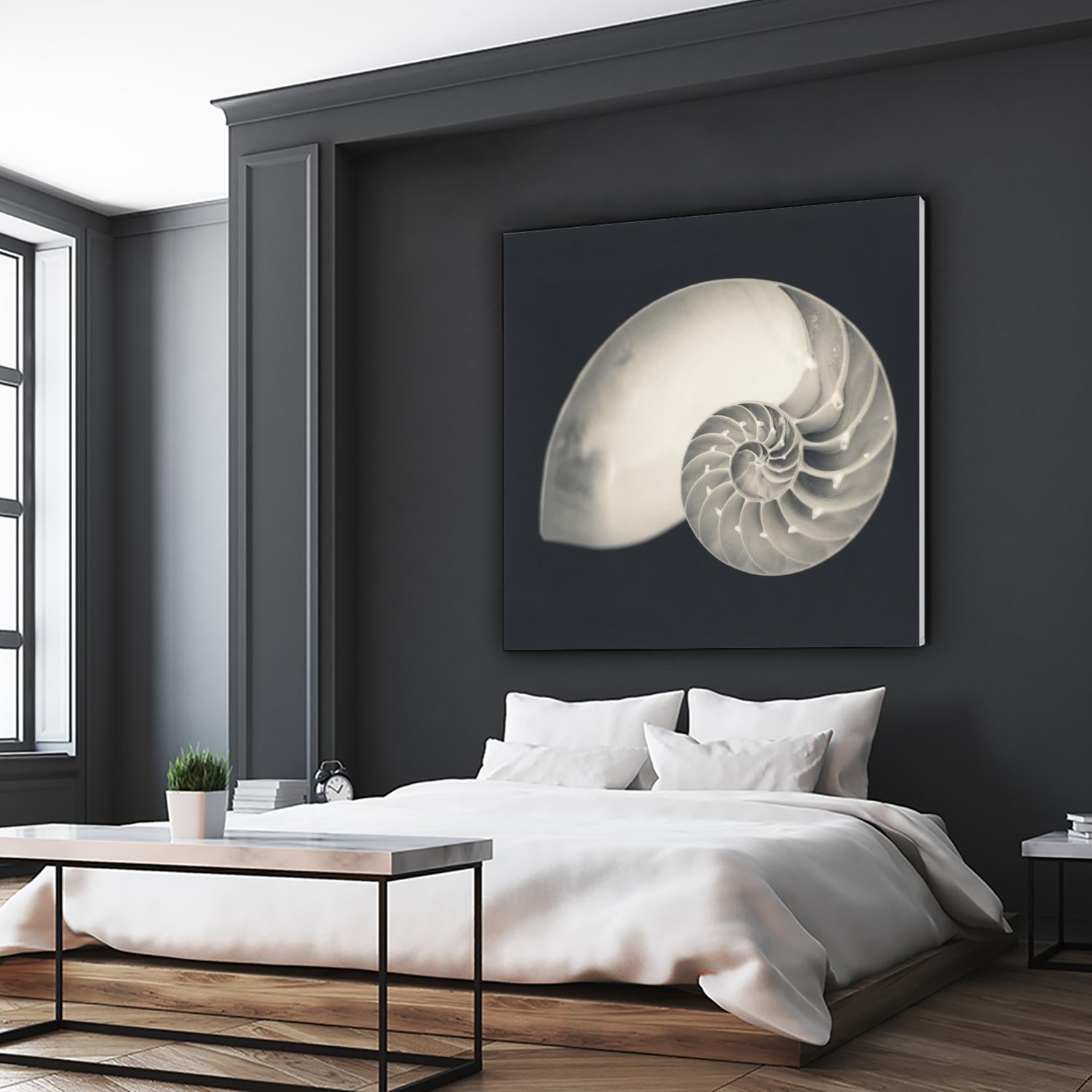 Shell I by YK Studio on GIANT ART - beige nautical