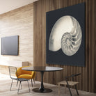 Shell I by YK Studio on GIANT ART - beige nautical