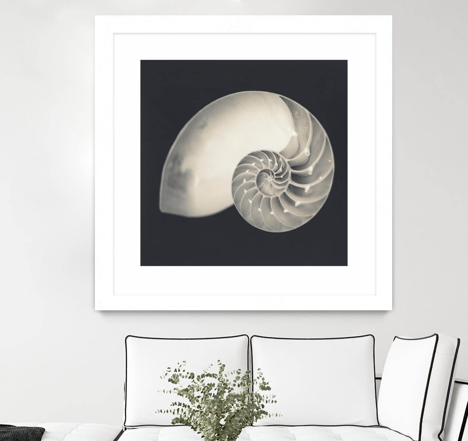 Shell I by YK Studio on GIANT ART - beige nautical
