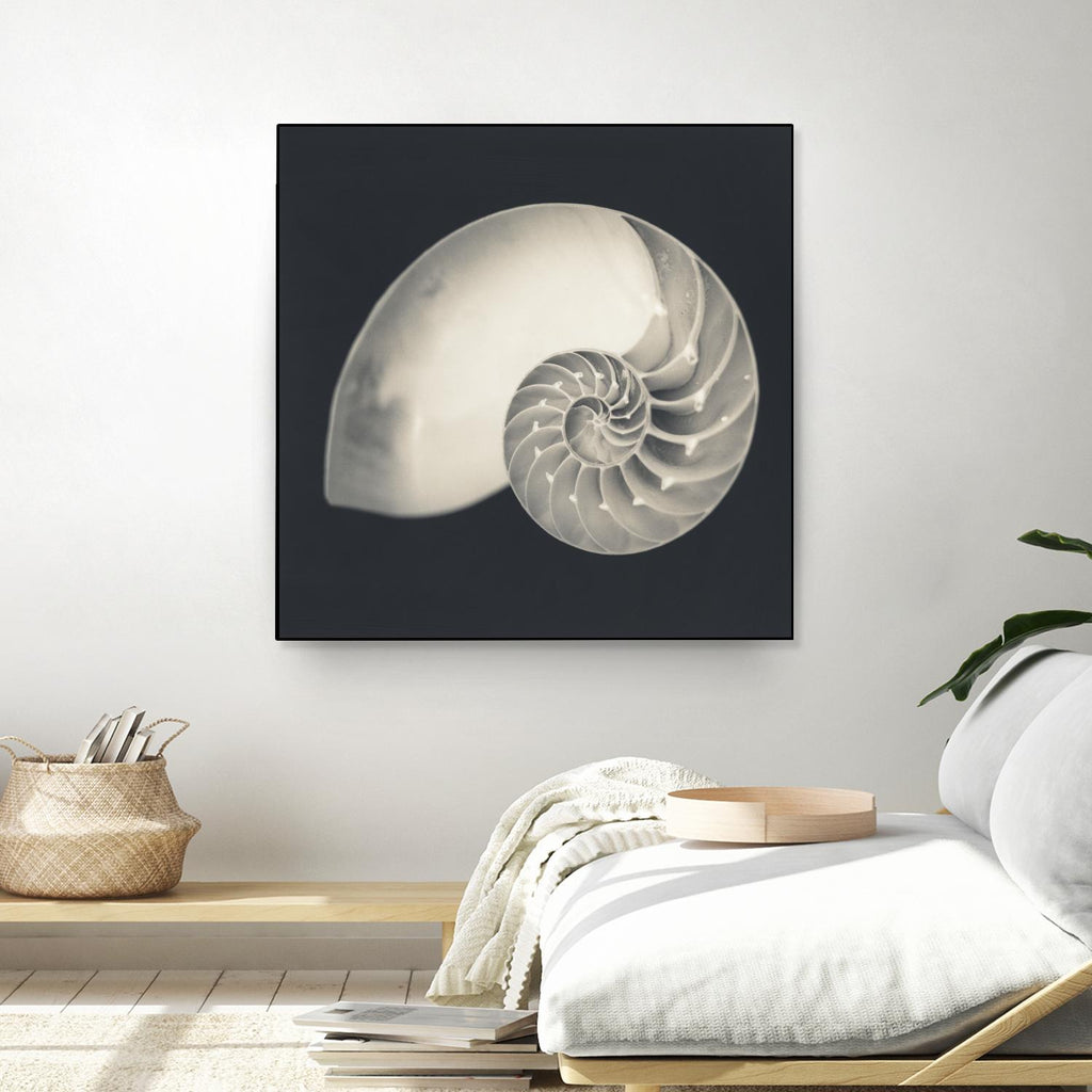 Shell I par YK Studio sur GIANT ART - beige nautique