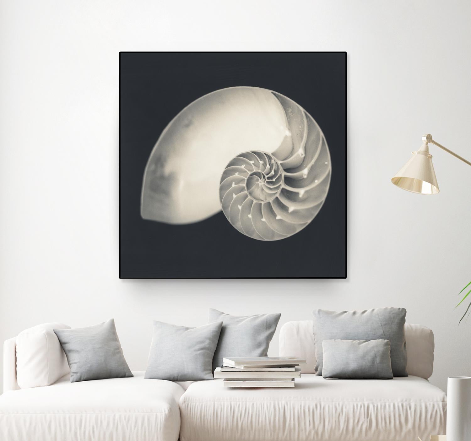Shell I by YK Studio on GIANT ART - beige nautical