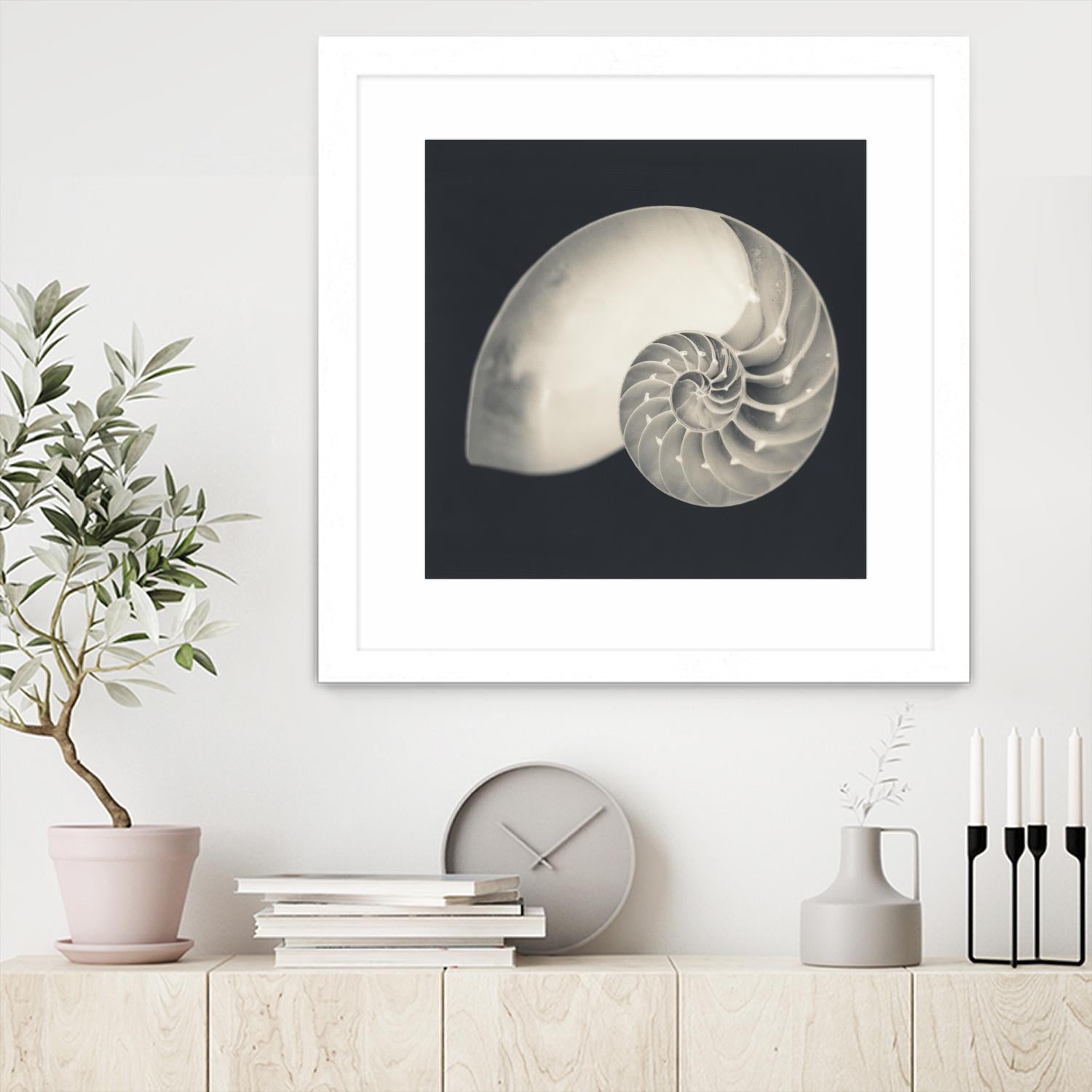 Shell I by YK Studio on GIANT ART - beige nautical