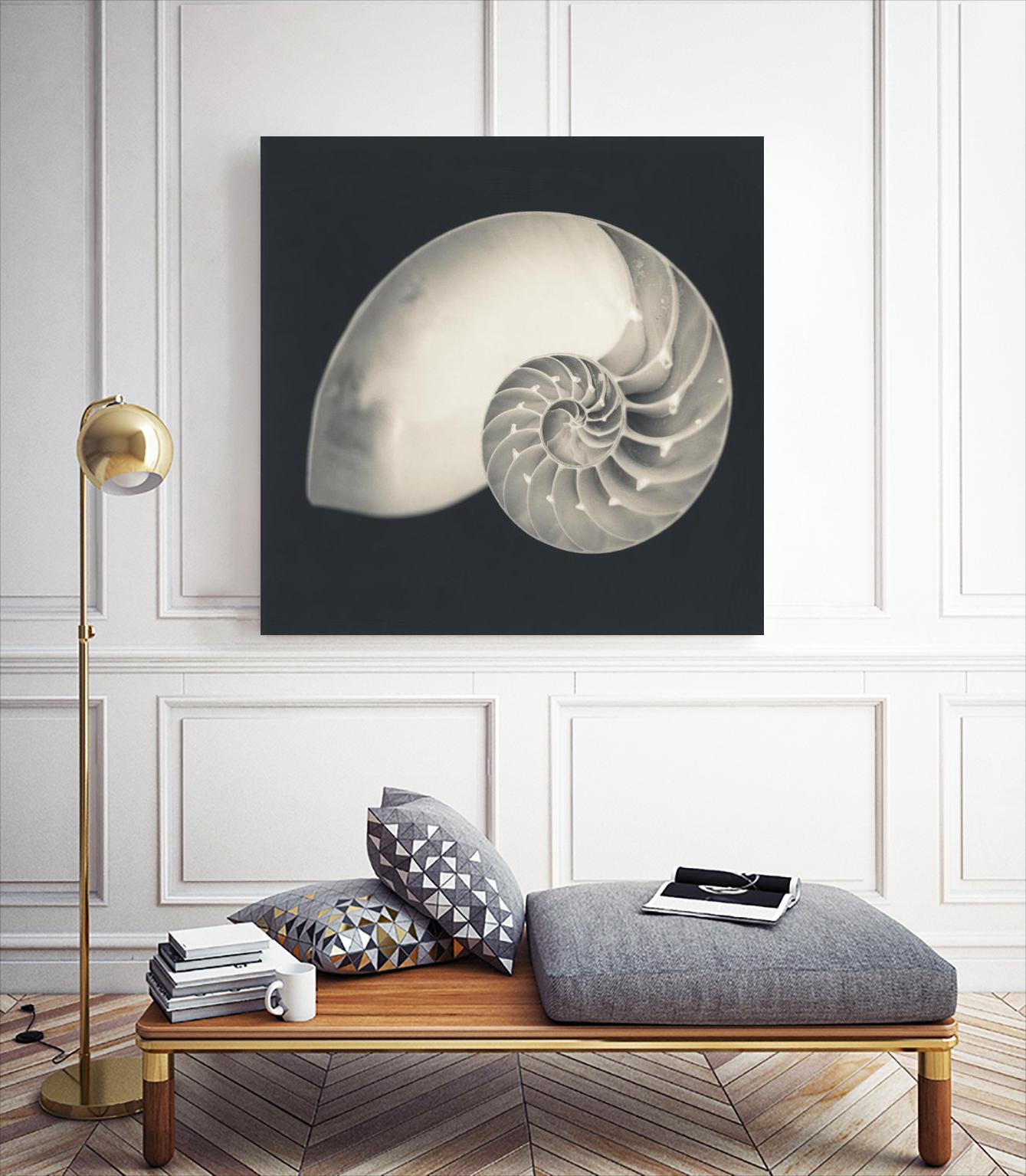 Shell I by YK Studio on GIANT ART - beige nautical