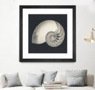 Shell I by YK Studio on GIANT ART - beige nautical