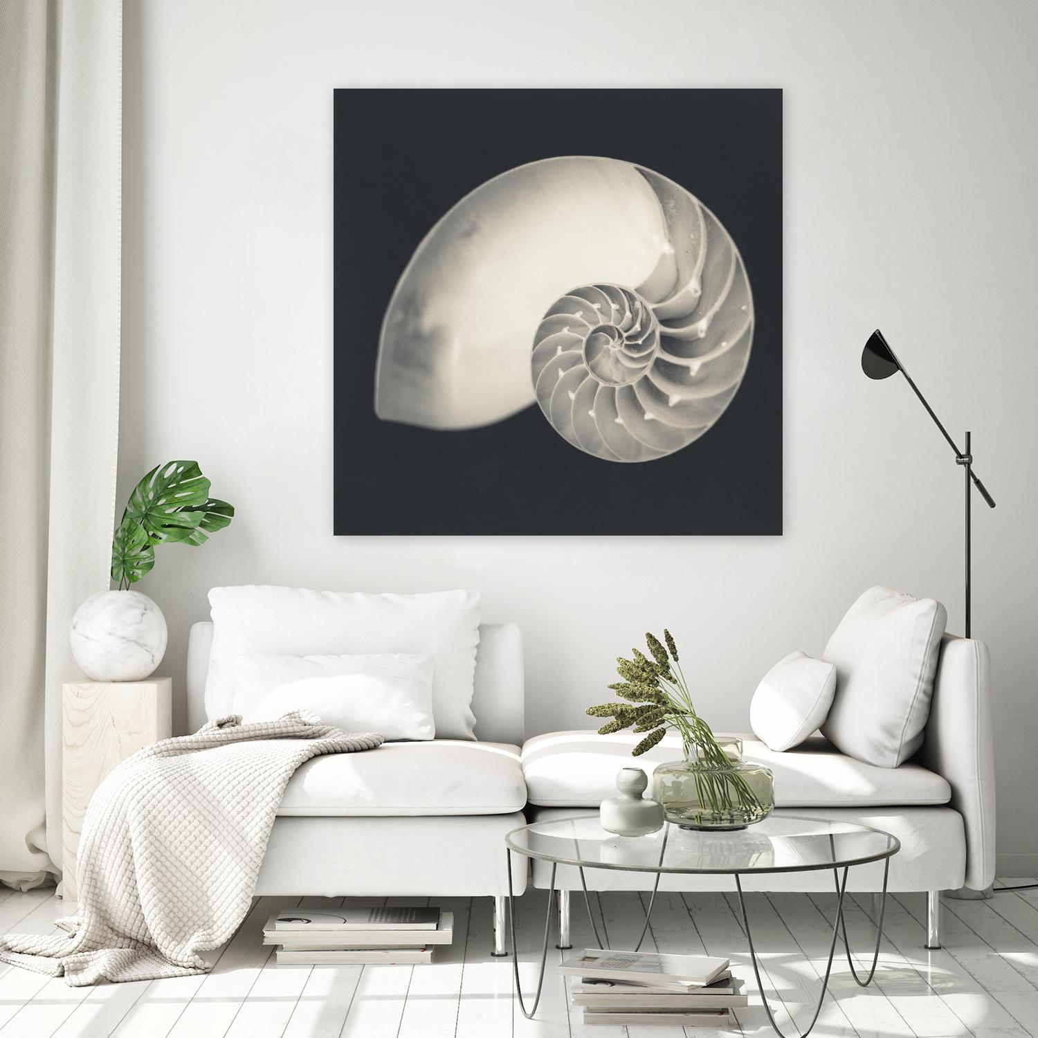 Shell I by YK Studio on GIANT ART - beige nautical