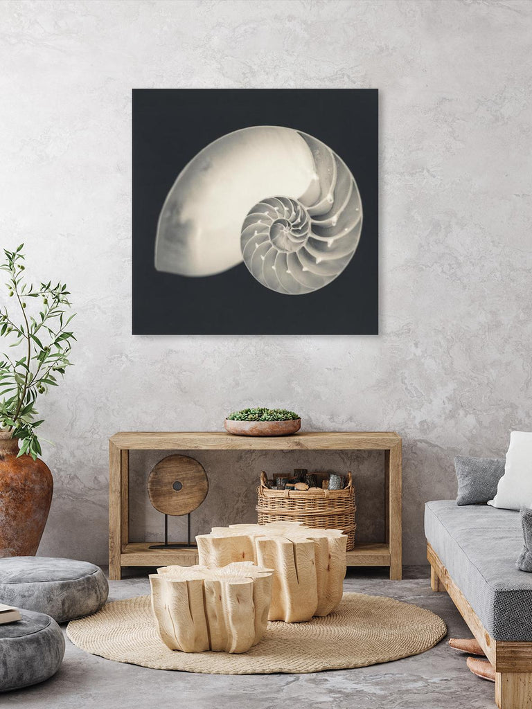 Shell I by YK Studio on GIANT ART - beige nautical