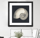 Shell I by YK Studio on GIANT ART - beige nautical