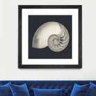 Shell I by YK Studio on GIANT ART - beige nautical