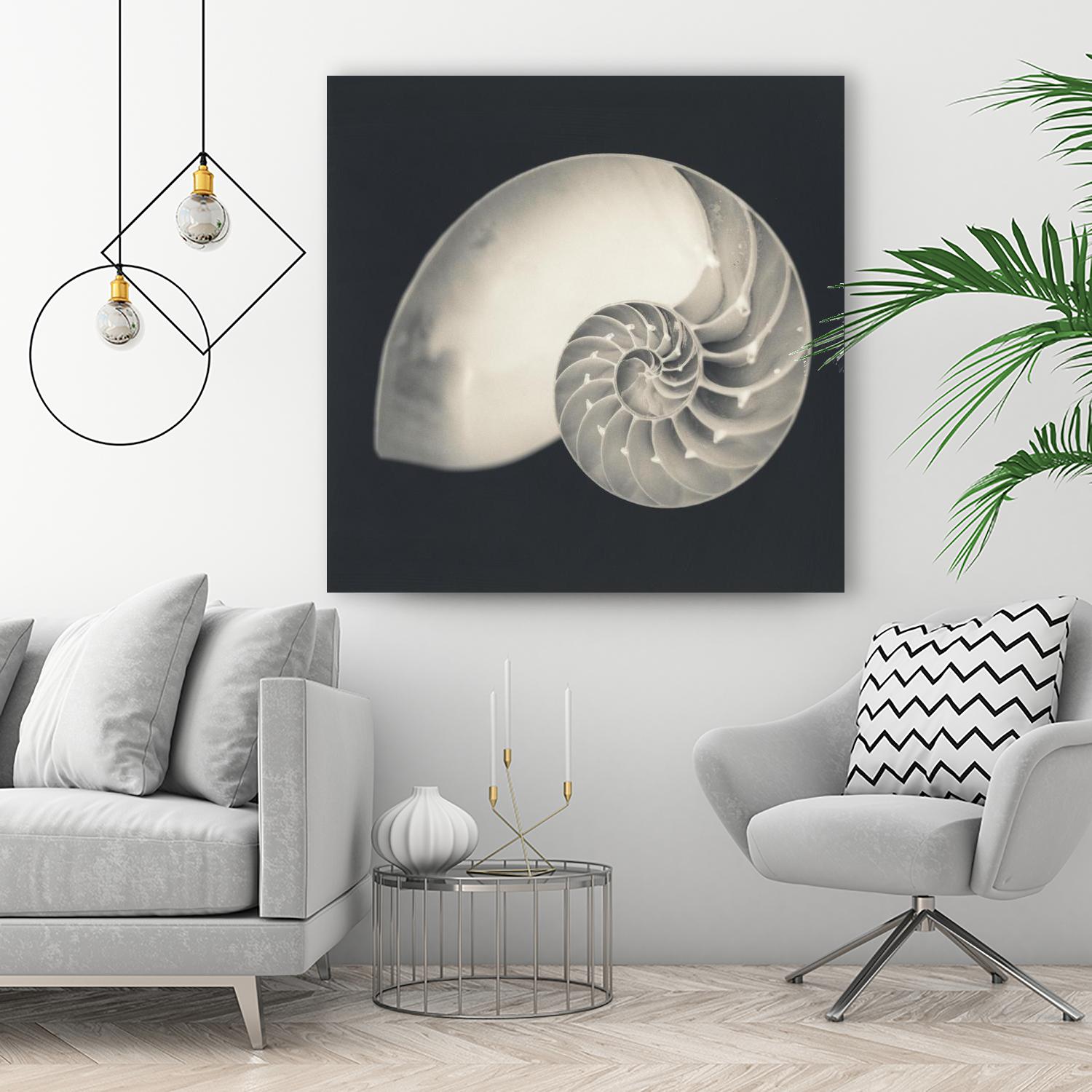 Shell I by YK Studio on GIANT ART - beige nautical
