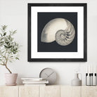 Shell I by YK Studio on GIANT ART - beige nautical