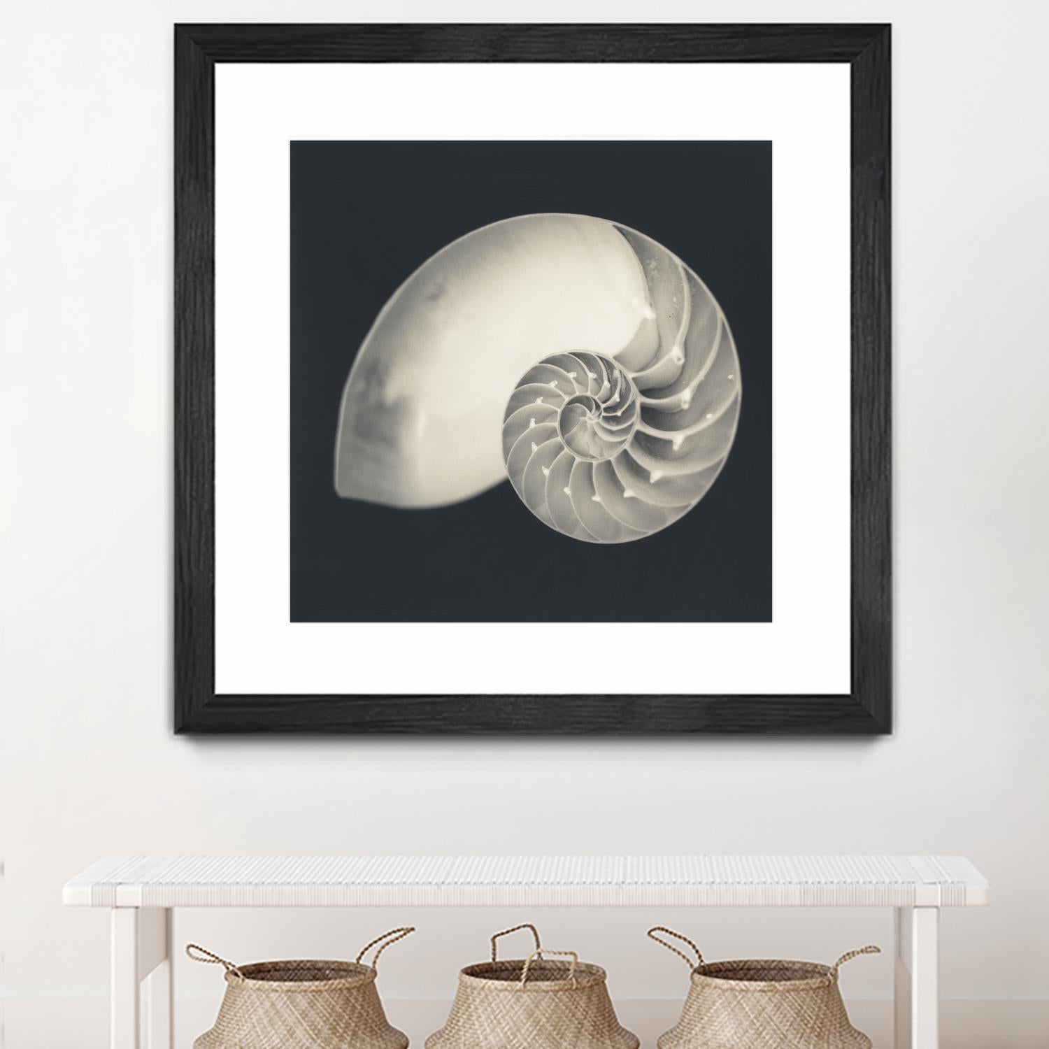 Shell I by YK Studio on GIANT ART - beige nautical