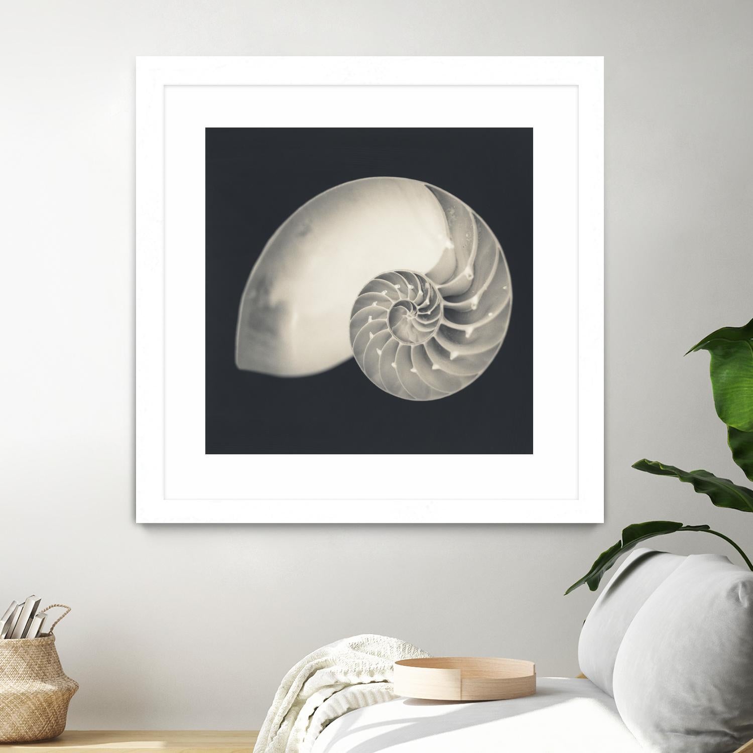 Shell I by YK Studio on GIANT ART - beige nautical